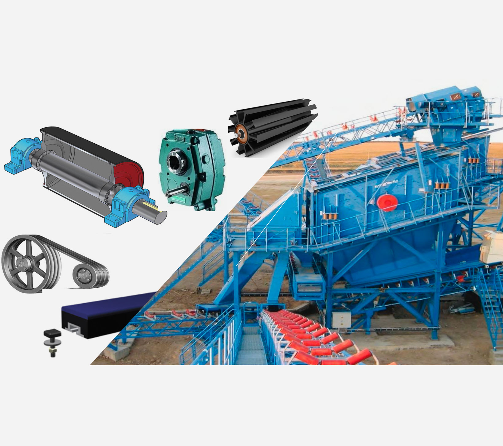 Conveyor System & Components